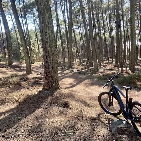 Appartamento Charmant Au Coeur Du Penon - Ocean, Foret, Lac, Surf Seignosse